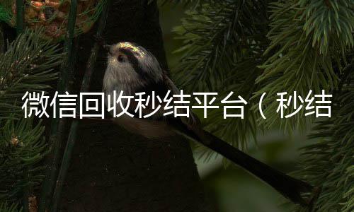 微信回收秒结收vx号平台（秒结款微信回收）